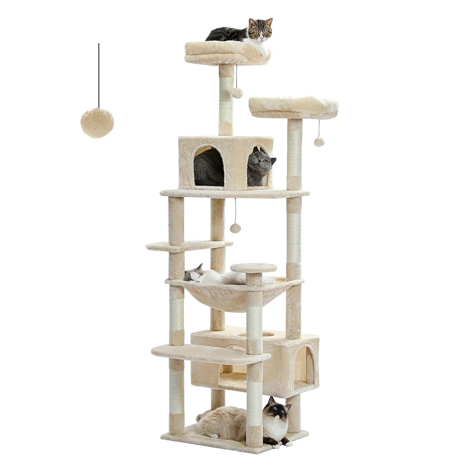 Cat Tree & Tower