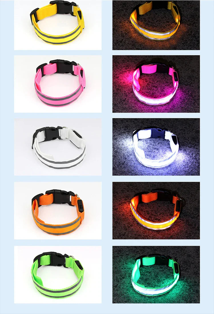 LED Dog Collar