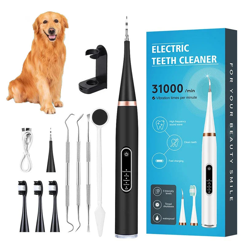 Electric Toothbrush
