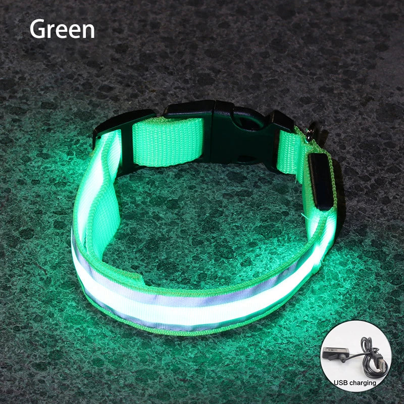 LED Dog Collar – USB Rechargeable & Button Battery Luminous Safety Collar for Dogs & Cats