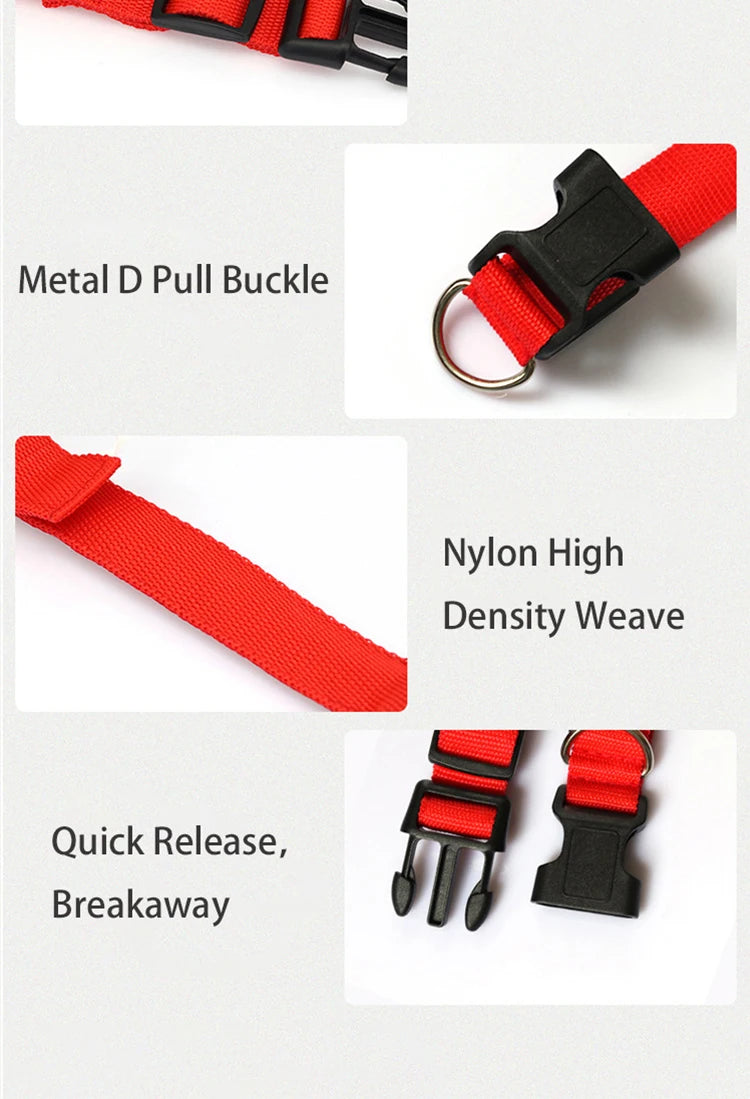 LED Dog Collar – USB Rechargeable & Button Battery Luminous Safety Collar for Dogs & Cats