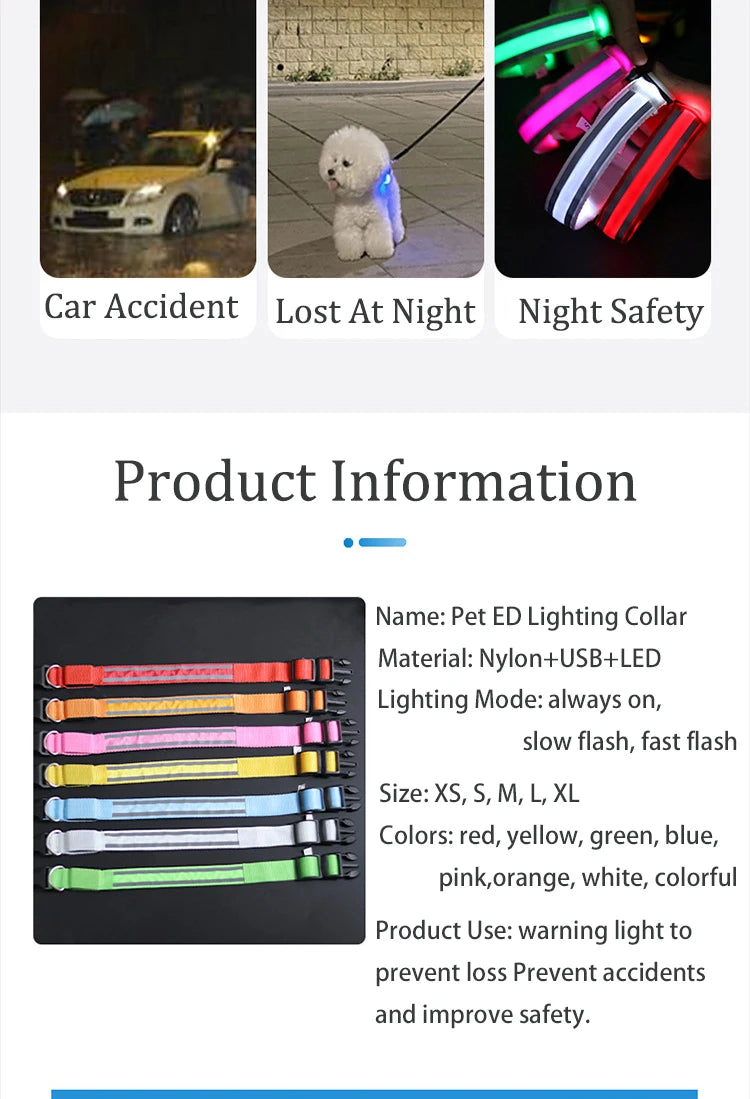 LED Dog Collar – USB Rechargeable & Button Battery Luminous Safety Collar for Dogs & Cats