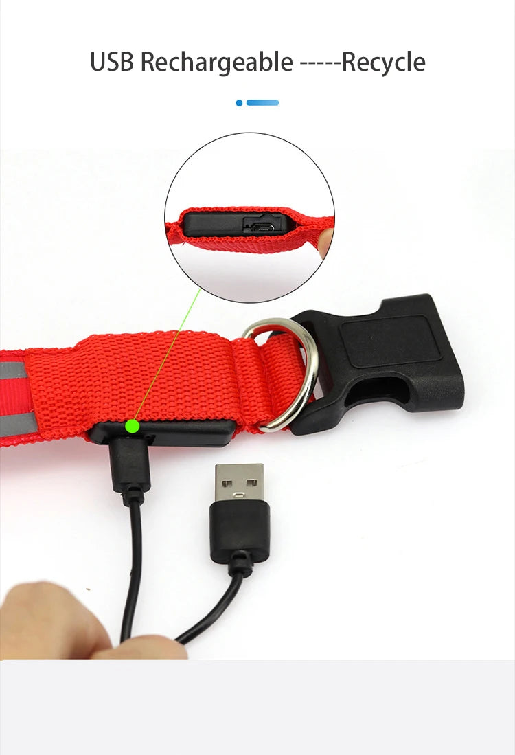 LED Dog Collar – USB Rechargeable & Button Battery Luminous Safety Collar for Dogs & Cats