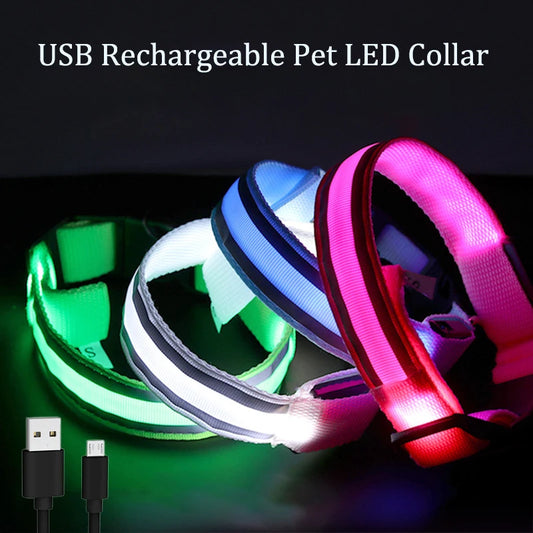 LED Dog Collar – USB Rechargeable & Button Battery Luminous Safety Collar for Dogs & Cats
