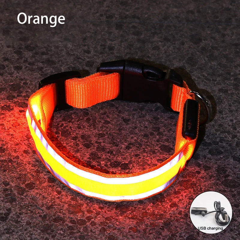 LED Dog Collar – USB Rechargeable & Button Battery Luminous Safety Collar for Dogs & Cats