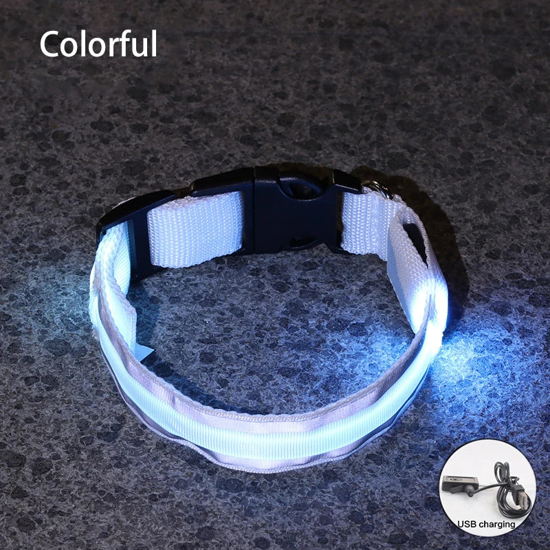 LED Dog Collar – USB Rechargeable & Button Battery Luminous Safety Collar for Dogs & Cats