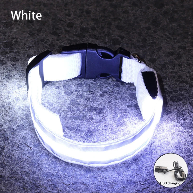LED Dog Collar – USB Rechargeable & Button Battery Luminous Safety Collar for Dogs & Cats
