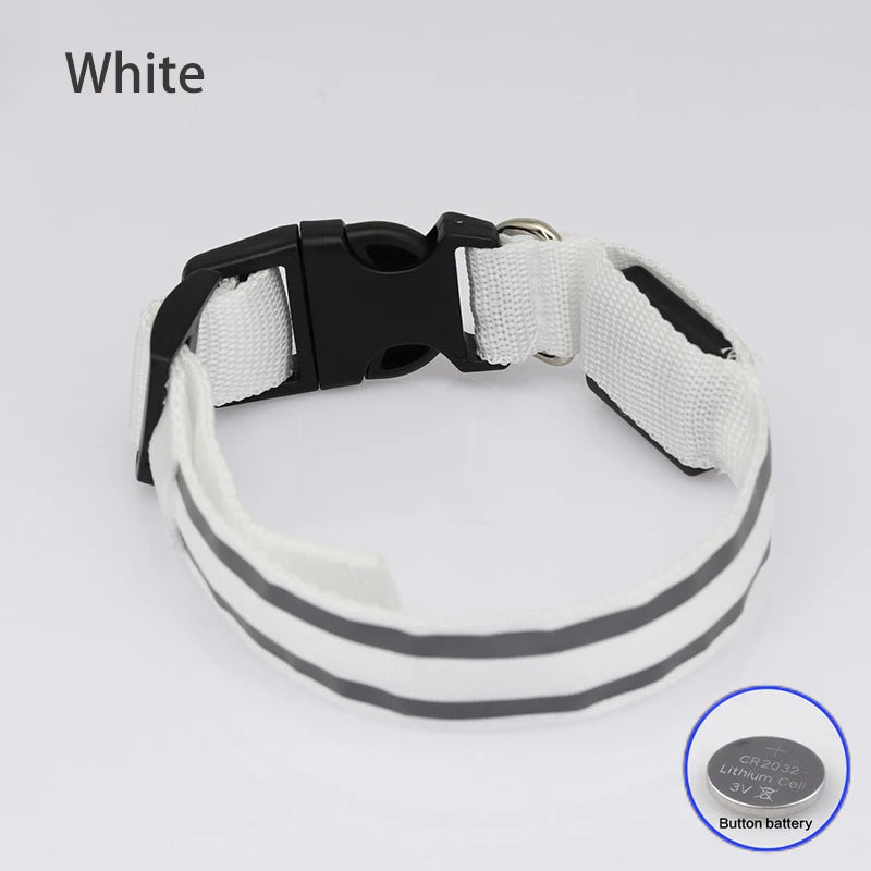 LED Dog Collar – USB Rechargeable & Button Battery Luminous Safety Collar for Dogs & Cats