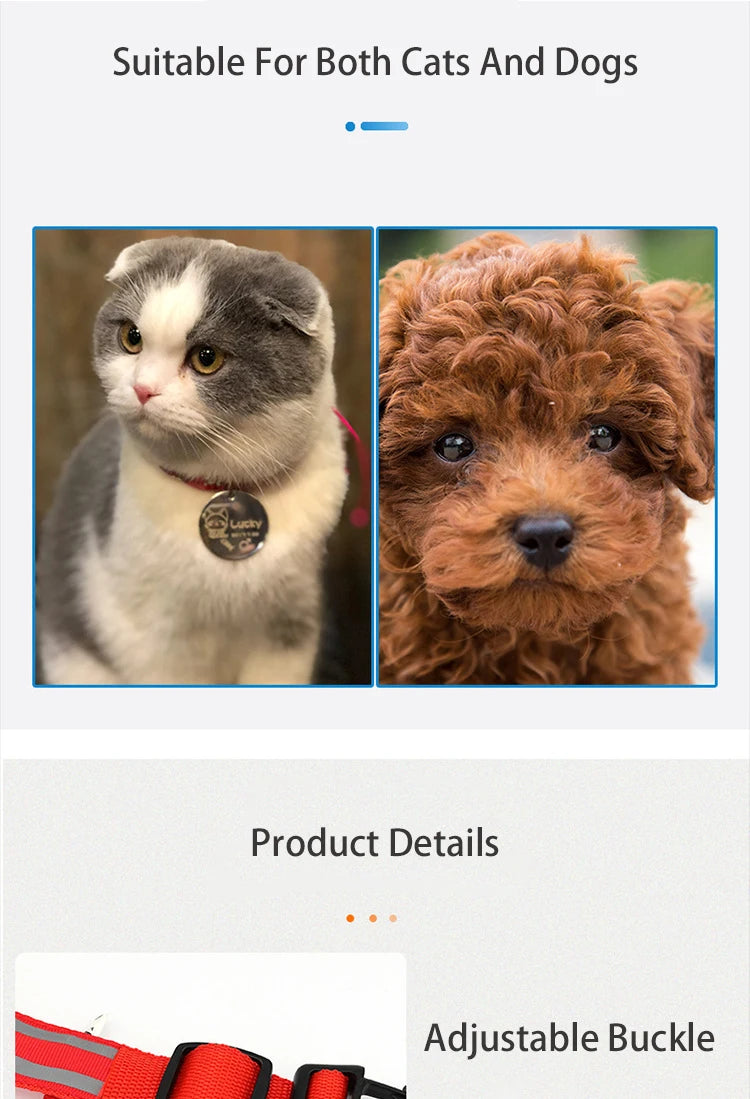 LED Dog Collar – USB Rechargeable & Button Battery Luminous Safety Collar for Dogs & Cats