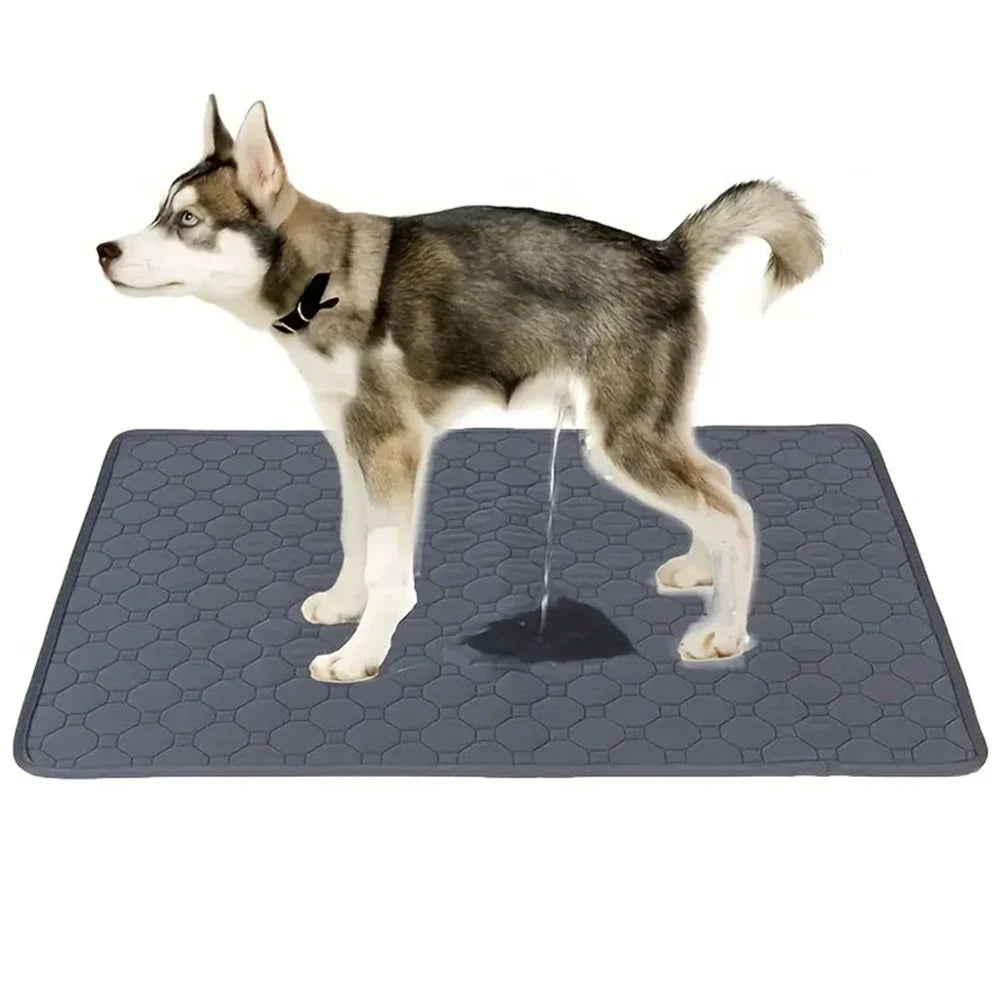 Reusable Dog Pee Pad – Washable Absorbent Puppy Training Pad & Pet Bed Urine Mat for Home, Crates & Car Seats