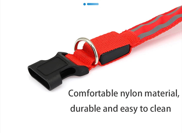 LED Dog Collar – USB Rechargeable & Button Battery Luminous Safety Collar for Dogs & Cats