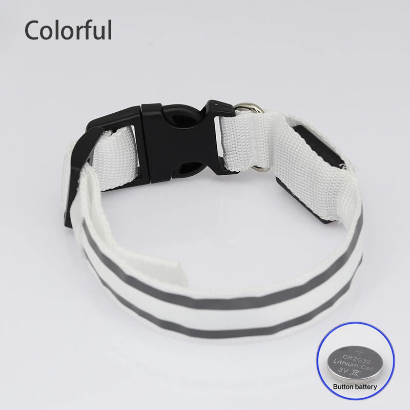 LED Dog Collar – USB Rechargeable & Button Battery Luminous Safety Collar for Dogs & Cats