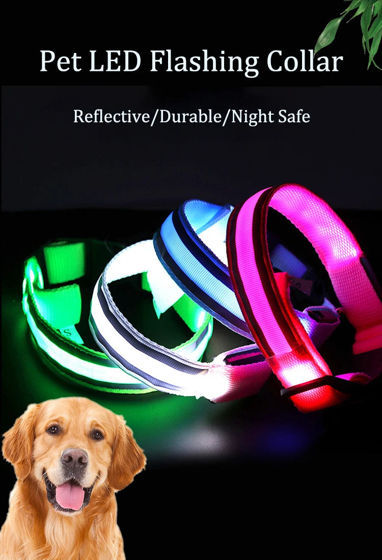 LED Dog Collar – USB Rechargeable & Button Battery Luminous Safety Collar for Dogs & Cats