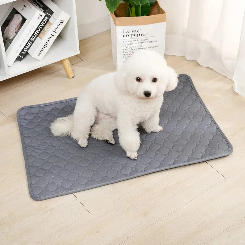 Reusable Dog Pee Pad – Washable Absorbent Puppy Training Pad & Pet Bed Urine Mat for Home, Crates & Car Seats