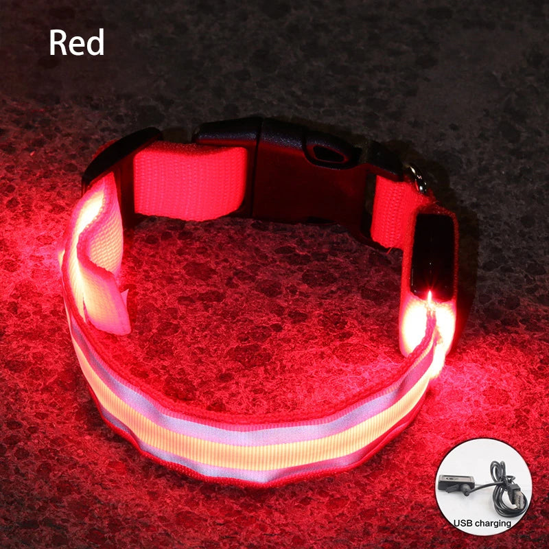 LED Dog Collar – USB Rechargeable & Button Battery Luminous Safety Collar for Dogs & Cats
