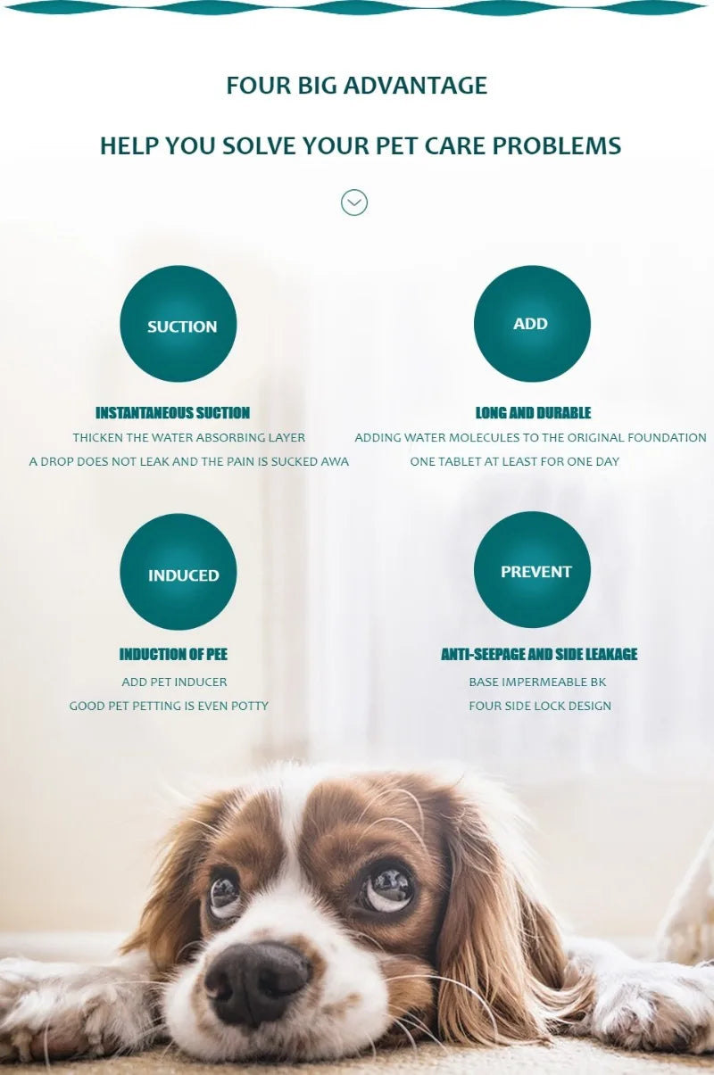 Reusable Dog Pee Pad – Washable Absorbent Puppy Training Pad & Pet Bed Urine Mat for Home, Crates & Car Seats