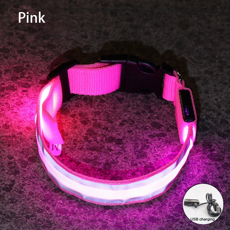 LED Dog Collar – USB Rechargeable & Button Battery Luminous Safety Collar for Dogs & Cats
