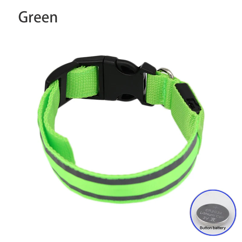 LED Dog Collar – USB Rechargeable & Button Battery Luminous Safety Collar for Dogs & Cats