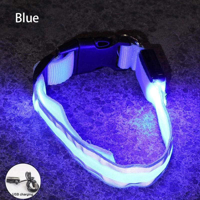 LED Dog Collar – USB Rechargeable & Button Battery Luminous Safety Collar for Dogs & Cats