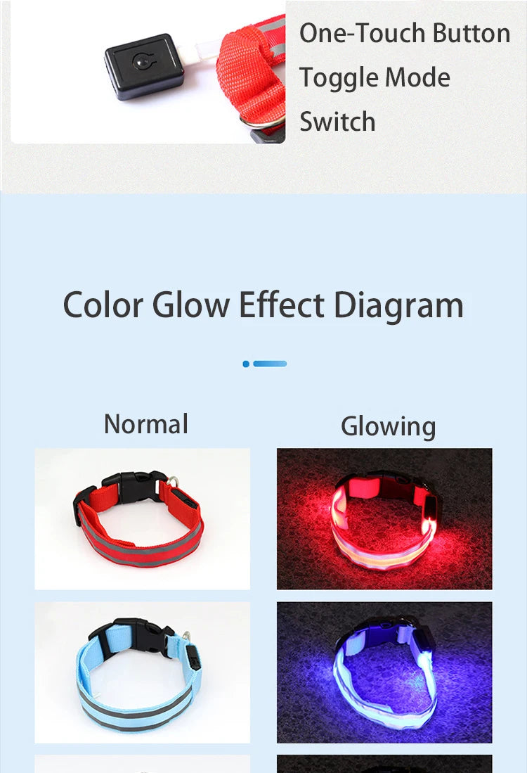 LED Dog Collar – USB Rechargeable & Button Battery Luminous Safety Collar for Dogs & Cats