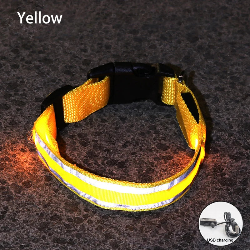 LED Dog Collar – USB Rechargeable & Button Battery Luminous Safety Collar for Dogs & Cats