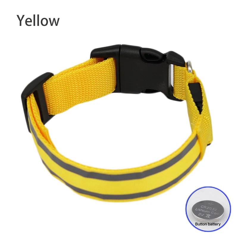 LED Dog Collar – USB Rechargeable & Button Battery Luminous Safety Collar for Dogs & Cats
