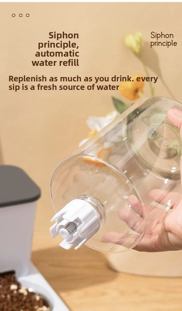 Automatic Pet Feeder & Water Fountain – Large Capacity Raised Food & Water Bowl for Cats & Dogs